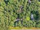 Aerial view of property showing the roof and surrounding trees at 1000 Coan Dr, Locust Grove, GA 30248