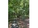 Shady asphalt walkway through a wooded area in a real estate community at 700 Broadlands Ln, Powder Springs, GA 30127