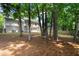 A view of the backyard with pine straw, privacy fence, and trees at 11660 Windbrooke Way, Johns Creek, GA 30005