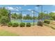 Community tennis court with lights for evening play and manicured landscaping at 3202 Lucky Pl, Conyers, GA 30013