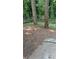 Overgrown backyard, framed by trees, offering a calm canvas for outdoor enjoyment and creative landscaping ideas at 1009 Autumn Crest Ct, Stone Mountain, GA 30083