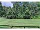 Beautiful backyard featuring a lush green lawn, mature trees, and a serene view at 4395 Wildbrooke Pkwy, Cumming, GA 30041