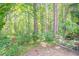 The wooded lot is overgrown with lush foliage and surrounded by mature trees at 356 Waterway Trl, Powder Springs, GA 30127