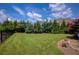 Expansive backyard with lush green lawn, mature trees, and well-defined landscaping at 4430 Alister Park Dr, Cumming, GA 30040