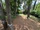 A backyard setting with towering trees creating a secluded outdoor area with natural surroundings at 2764 Ocean Valley Dr, Atlanta, GA 30349