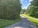 Long driveway leading to a home surrounded by lush green trees, offering privacy and a scenic approach at 3939 Craggy Perch, Douglasville, GA 30135