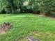 View of the overgrown backyard featuring mature trees and a privacy fence at 1003 Valley Se Dr, Smyrna, GA 30080