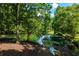 Scenic view of a tranquil pond surrounded by mature trees and lush greenery at 10650 Centennial Dr, Alpharetta, GA 30022