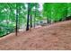 Backyard view with tree coverage and view of home's exterior at 1850 Noblin Ridge Way, Duluth, GA 30097