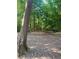 Scenic view of a wooded area, offering a tranquil and natural setting at 1850 Noblin Ridge Way, Duluth, GA 30097