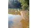 Picturesque riverbank with sunlight, highlighting the serene waterfront setting and natural beauty at 1850 Noblin Ridge Way, Duluth, GA 30097