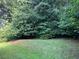 A grassy, wooded backyard with a few small steps to enter the space at 5415 Windcrest Ln, Suwanee, GA 30024