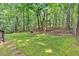 Lush backyard featuring a stone path and mature trees providing shade, perfect for outdoor enjoyment and entertaining at 1341 Little Deer Run, Canton, GA 30114