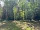Backyard with green grass and trees at 2917 Katherine Valley Rd, Decatur, GA 30032
