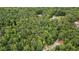 Aerial view of property showcasing mature trees and sprawling land at 9125 Patrick Pl, Winston, GA 30187