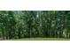 Expansive backyard with mature trees offering plenty of privacy at 4020 High Gables E, Cumming, GA 30041