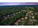 Aerial view of the neighborhood and community with beautiful trees and houses at 5507 Aviemore Ct, Suwanee, GA 30024