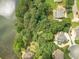 Aerial view showcasing homes near a wooded lake, offering a sense of community and nature at 1432 Arbor Bluff Ct, Lawrenceville, GA 30045