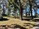 Large open yard with mature trees; perfect for recreation, relaxation, or for pets to roam at 3530 Dahlonega Hwy, Cumming, GA 30028