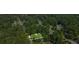 Aerial view of property surrounded by trees and other homes in a residential area at 340 Windsor Se Walk, Conyers, GA 30094