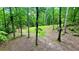 Expansive wooded backyard offering privacy and a natural setting at 7460 Highway 101, Rockmart, GA 30153