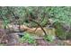 A creek running through the wooded backyard, complemented by a tranquil bench at 7460 Highway 101, Rockmart, GA 30153