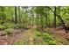 Beautiful wooded acreage featuring a peaceful walking path through a serene landscape at 7460 Highway 101, Rockmart, GA 30153