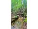 Peaceful stream flowing through the woods provides a serene natural setting at 7460 Highway 101, Rockmart, GA 30153