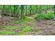 Green wooded area with natural ground cover, perfect for nature lovers and hikers at 7460 Highway 101, Rockmart, GA 30153