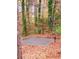 A basketball court surrounded by natural vegetation in a secluded backyard setting at 1034 Bettina Sw Ct, Mableton, GA 30126