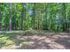 View of spacious backyard surrounded by mature trees at 4116 Wendell Way, Snellville, GA 30039