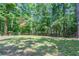 Spacious backyard surrounded by a chain-link fence and lush, mature trees at 4116 Wendell Way, Snellville, GA 30039