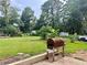 View of the backyard featuring a vintage grill and lush greenery, perfect for outdoor entertaining and peaceful retreats at 5347 Ocarol Ct, Stone Mountain, GA 30088