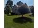 View of the backyard of a two-story home with abundant trees, blue skies and a large lawn at 2580 Three Wood Dr, Villa Rica, GA 30180