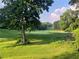 View of a lush green golf course with large trees on either side and a partly cloudy blue sky at 2580 Three Wood Dr, Villa Rica, GA 30180