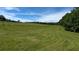 Vast green field extending towards the horizon, complemented by the striking blue sky at 500 Coleman Mill Rd, Carrollton, GA 30116