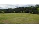 Wide, lush field, adorned with saplings set against a backdrop of dense, green woods at 500 Coleman Mill Rd, Carrollton, GA 30116