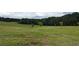 Extensive grassy field with scattered young trees, leading up to a backdrop of a dense forest at 500 Coleman Mill Rd, Carrollton, GA 30116