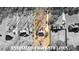 Aerial view showcasing property lines among other neighborhood homes at 1585 Lake Dow Rd, Mcdonough, GA 30252