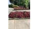 Beautifully landscaped curb with colorful flowers and brick-paved street at 150 Ashley Dr, Fayetteville, GA 30214
