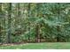 View of lush, wooded backyard at 4076 Whistler Dr, Douglasville, GA 30135