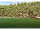 Expansive backyard showcasing a lush green lawn, mature trees for privacy, and ample space for outdoor activities at 11768 Wellsley Way, Johns Creek, GA 30005