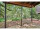 The backyard features large, mature trees with a natural forest floor, creating a peaceful outdoor space at 171 Riverview Trl, Roswell, GA 30075