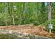 A natural walking trail through the woods provides access to a wildlife preserve at 171 Riverview Trl, Roswell, GA 30075