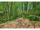 A peaceful walking trail through a wooded area covered in brown leaves and scattered sunshine at 171 Riverview Trl, Roswell, GA 30075