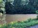 Beautiful pond surrounded by lush greenery and trees, creating a tranquil and natural oasis for relaxation and enjoyment at 5015 Wright Bridge Rd, Cumming, GA 30028