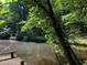 Scenic view of a pond with a wooden dock, framed by lush trees and vegetation, creating a peaceful natural retreat at 5015 Wright Bridge Rd, Cumming, GA 30028