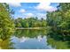Scenic view of the serene lake surrounded by lush greenery and mature trees at 1005 Renfroe Lake Dr, Auburn, GA 30011