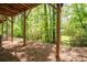 Wooded backyard viewed from under deck, shows a tranquil and private outdoor space at 2813 White Oak Ln, Decatur, GA 30032