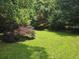 Wide shot of the backyard, showcasing green grass and a variety of trees at 1526 Snapfinger Rd, Decatur, GA 30032